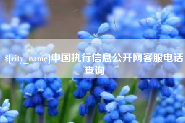 玉环中国执行信息公开网客服电话查询