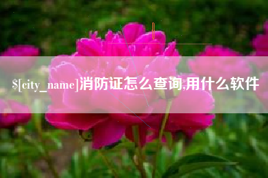 玉环消防证怎么查询,用什么软件