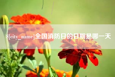 玉环全国消防日的日期是哪一天