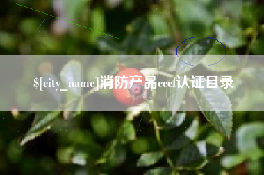 玉环消防产品cccf认证目录