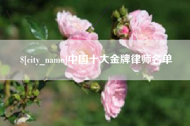 玉环中国十大金牌律师名单