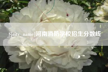 玉环河南消防学校招生分数线