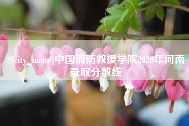 玉环中国消防救援学院2020年河南录取分数线