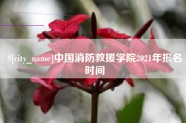 玉环中国消防救援学院2021年报名时间