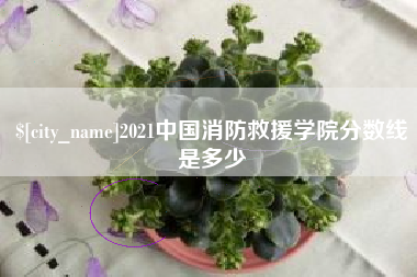 玉环2021中国消防救援学院分数线是多少