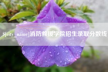 玉环消防救援学院招生录取分数线