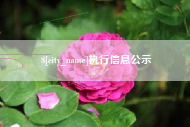 玉环执行信息公示