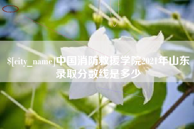玉环中国消防救援学院2021年山东录取分数线是多少