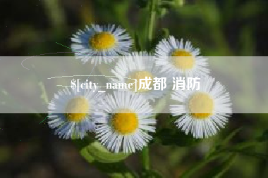 玉环成都 消防