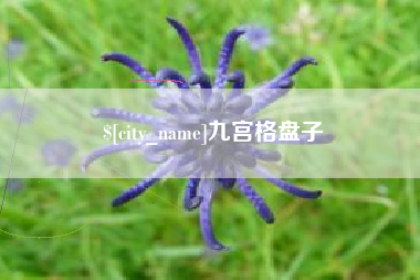 玉环九宫格盘子