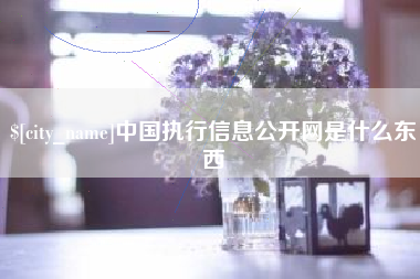 玉环中国执行信息公开网是什么东西