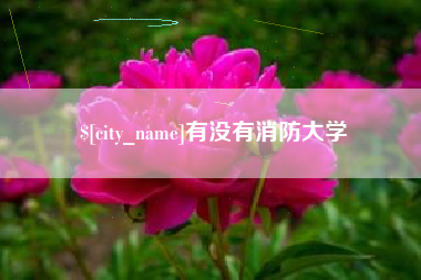 玉环有没有消防大学