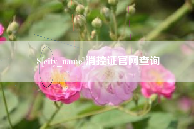 玉环消控证官网查询