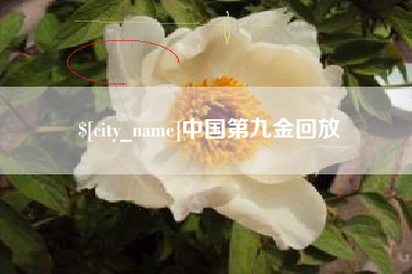 玉环中国第九金回放