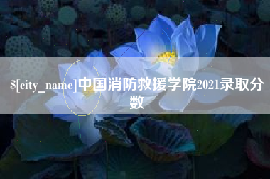 玉环中国消防救援学院2021录取分数