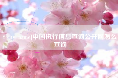 玉环中国执行信息查询公开网怎么查询