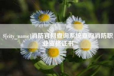 玉环消防官网查询系统查询消防职业资格证书
