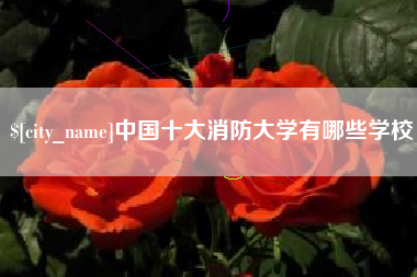 玉环中国十大消防大学有哪些学校