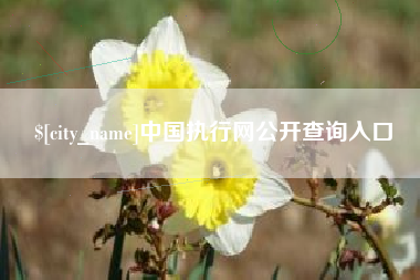 玉环中国执行网公开查询入口