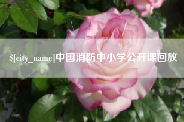 玉环中国消防中小学公开课回放