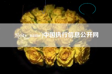 玉环中国执行信息公开网