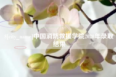 玉环中国消防救援学院2020年录取结果