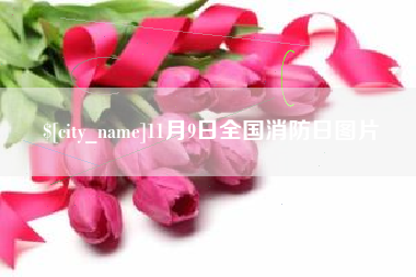 玉环11月9日全国消防日图片