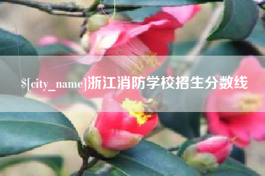 玉环浙江消防学校招生分数线