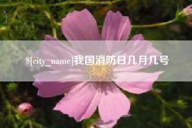 玉环我国消防日几月几号