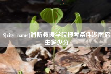 玉环消防救援学院报考条件湖南招生多少分