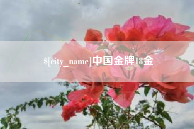 玉环中国金牌18金