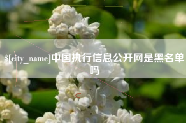 玉环中国执行信息公开网是黑名单吗