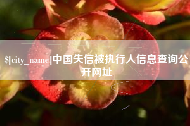 玉环中国失信被执行人信息查询公开网址