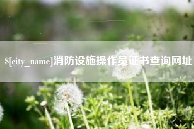 玉环消防设施操作员证书查询网址
