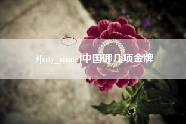 玉环中国哪几项金牌