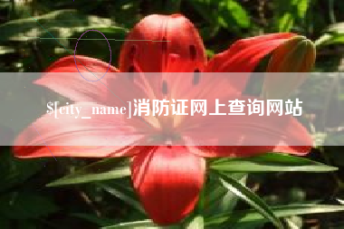 玉环消防证网上查询网站
