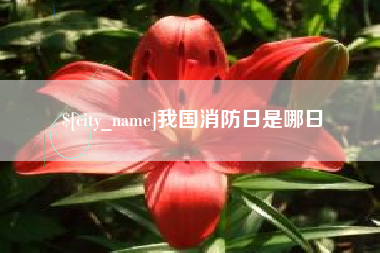 玉环我国消防日是哪日