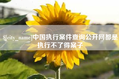 玉环中国执行案件查询公开网都是执行不了得案子