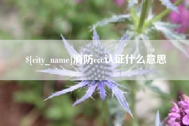 玉环消防ccc认证什么意思