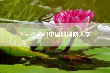 玉环中国的消防大学