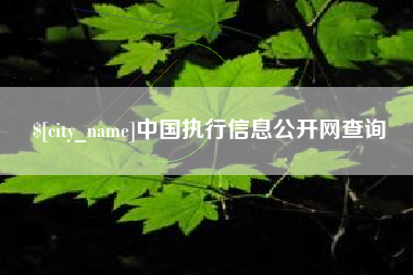 玉环中国执行信息公开网查询