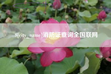 玉环消防证查询全国联网