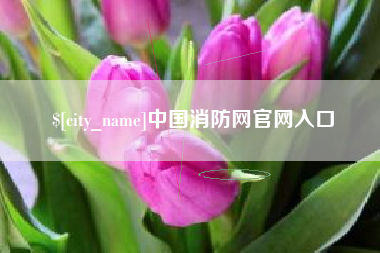 玉环中国消防网官网入口