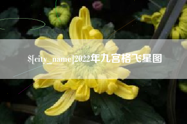 玉环2022年九宫格飞星图