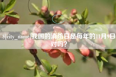 玉环我国的消防日是每年的11月9日对吗？