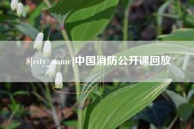 玉环中国消防公开课回放