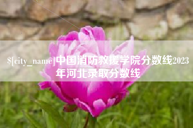 玉环中国消防救援学院分数线2023年河北录取分数线