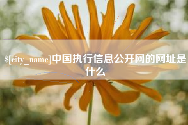 玉环中国执行信息公开网的网址是什么
