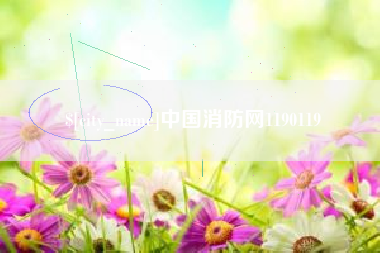 玉环中国消防网1190119