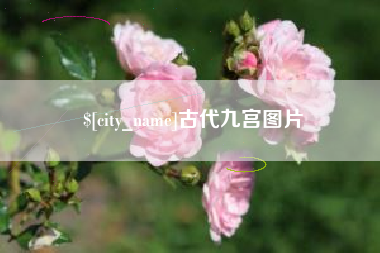 玉环古代九宫图片